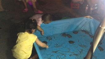 捉泥鳅游戏视频成人,捉泥鳅游戏视频里的欢乐时光